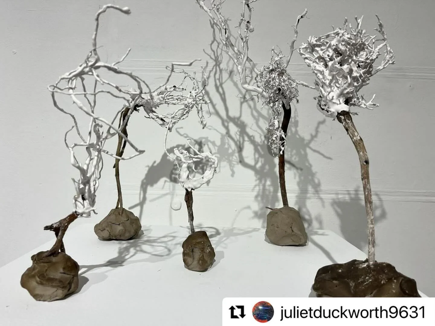Wonderful new work by @julietduckworth9631 , currently on show @emergeinbath 🤩

#Repost @julietduckworth9631 with @use.repost
・・・
Un-Root. A new series of sculptures showing at @emergeinbath  for the end of year showcase 2024. Some beautiful work on